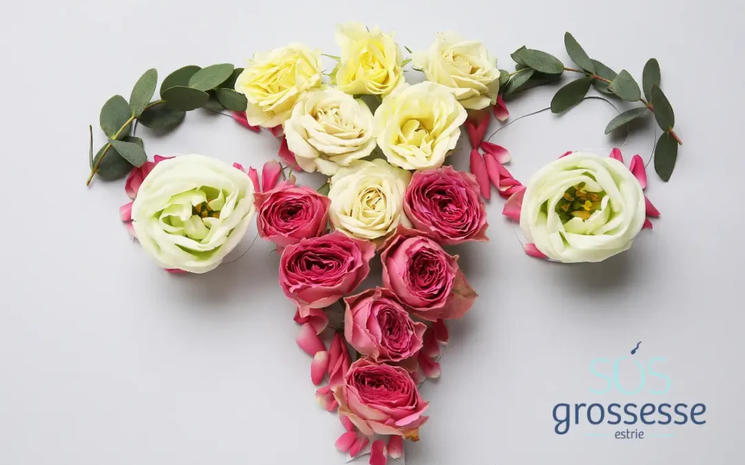 Perinatal bereavement – part 2